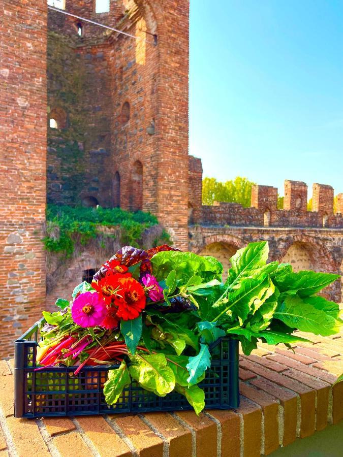Ferienwohnung Ca' Del Sole - Attico Panoramico In Centro Storico Montagnana  Exterior foto