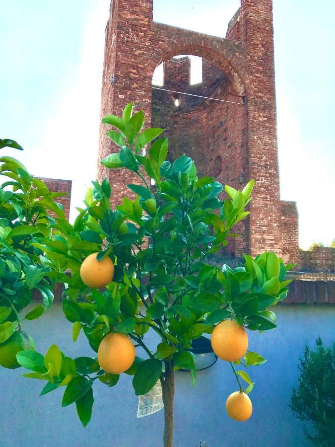 Ferienwohnung Ca' Del Sole - Attico Panoramico In Centro Storico Montagnana  Exterior foto