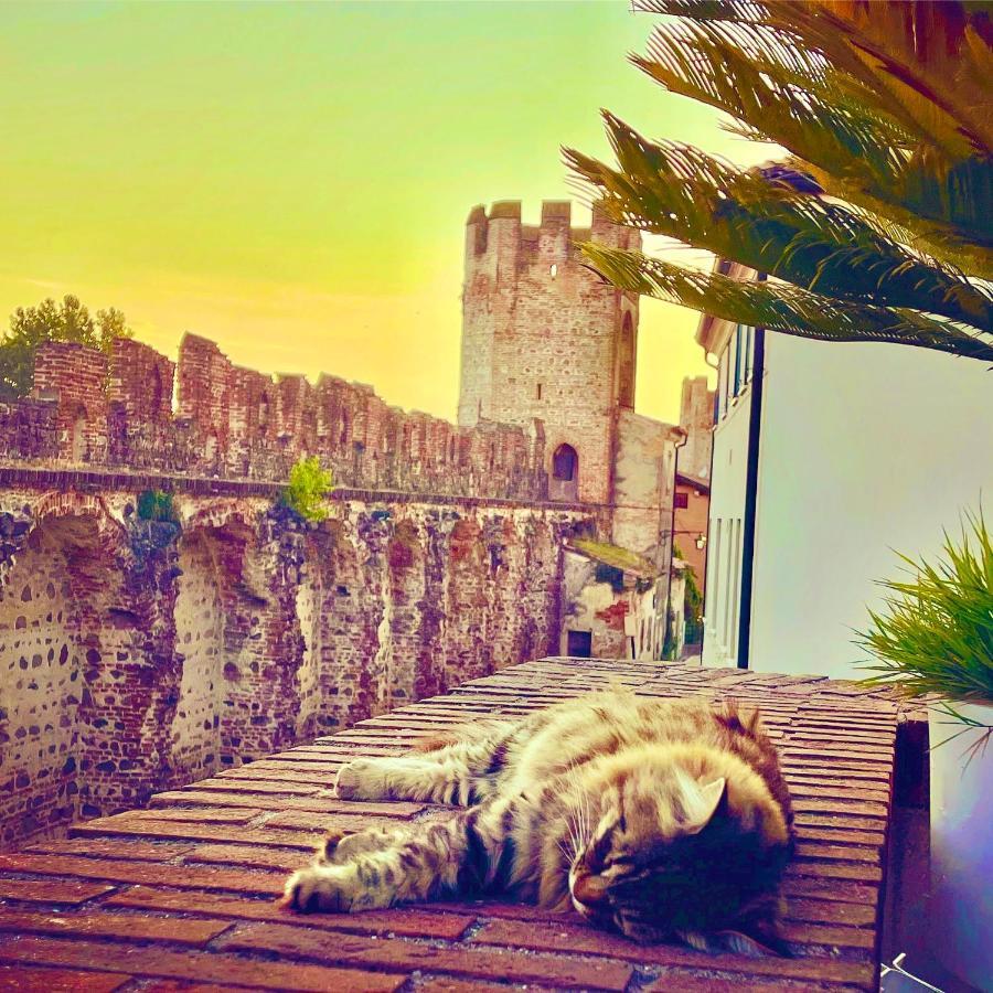 Ferienwohnung Ca' Del Sole - Attico Panoramico In Centro Storico Montagnana  Exterior foto